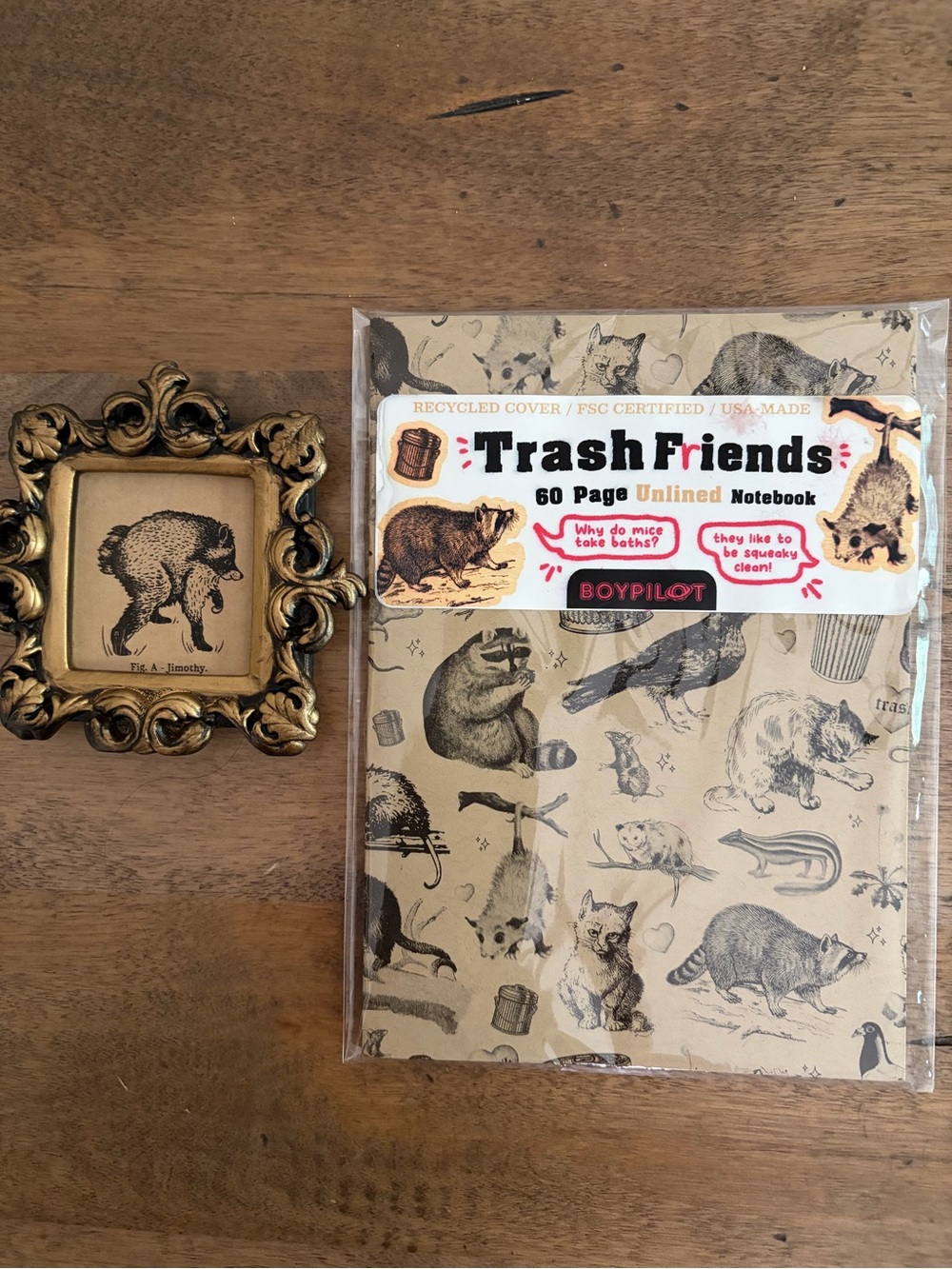 Jimothy the Raccoon Framed Print and Trash Friends notebook Oddities NWT